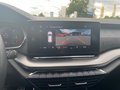 Daumennagel 12 - Skoda Octavia Combi RS Navi LED Pano