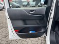 Daumennagel 11 - Hyundai STARIA Trend Hybrid 2WD 9-Sitzer