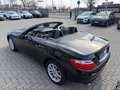 Daumennagel 13 - Mercedes-Benz SLK 200 BlueEfficiency Sehr gepflegt!!!