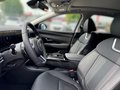 Daumennagel 12 - Hyundai TUCSON Prime Mild-Hybrid 2WD