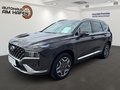 Daumennagel 1 - Hyundai SANTA FE 1.Hand, Checkheft, Panoramaschiebedach, MwSt. ausweisbar