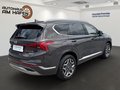 Daumennagel 3 - Hyundai SANTA FE 1.Hand, Checkheft, Panoramaschiebedach, MwSt. ausweisbar