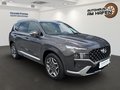 Daumennagel 2 - Hyundai SANTA FE 1.Hand, Checkheft, Panoramaschiebedach, MwSt. ausweisbar
