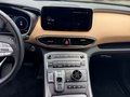 Daumennagel 7 - Hyundai SANTA FE 1.Hand, Checkheft, Panoramaschiebedach, MwSt. ausweisbar