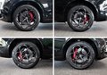 Daumennagel 39 - Alfa Romeo Stelvio Quadrifoglio Q4|AKRAPOVIC|CARBON|1.HAND