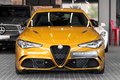 Daumennagel 7 - Alfa Romeo Giulia Quadrifoglio|SCHALENSITZE|CARBON|H&K|1.HD
