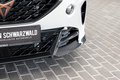 Thumbnail 4 - Cupra Formentor VZ5 Taiga Edition|CARBON|20-ZOLL|BEATS