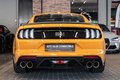 Daumennagel 9 - Ford Mustang Mach 1 5.0 V8|LEDER|B&O|19-ZOLL|NAVI