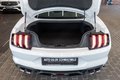 Daumennagel 41 - Ford Mustang Mach 1 5.0 V8|RECARO|B&O|19-ZOLL|NAVI