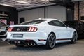 Daumennagel 7 - Ford Mustang Mach 1 5.0 V8|RECARO|B&O|19-ZOLL|NAVI
