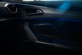 Daumennagel 34 - Cupra Formentor VZ 4Drive|AKRAPOVIC|PANO|MEMORY