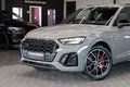 Daumennagel 3 - Audi SQ5 3.0 TDI quattro|MATRIX|B&O|AHK|ACC|MEMORY
