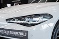 Daumennagel 4 - Alfa Romeo Giulia Veloce Q4|SPORT-PAKET|H&K|MATRIX|BREMBO