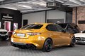 Daumennagel 9 - Alfa Romeo Giulia Quadrifoglio|SCHALENSITZE|CARBON|H&K|ACC