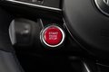 Daumennagel 27 - Alfa Romeo Giulia Quadrifoglio|SCHALENSITZE|CARBON|H&K|ACC