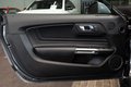 Daumennagel 39 - Ford Mustang GT 5.0 V8 Coupe|KLAPPEN-AGA|B&O|SPOILER