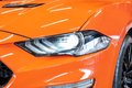 Daumennagel 4 - Ford Mustang GT V8 Coupe|B&O|NAVI|LEDER|1.HAND