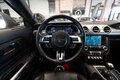 Daumennagel 13 - Ford Mustang 2.3L |KLAPPEN-AGA|B&O|NAV|1.HAND