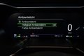 Daumennagel 19 - Ford Mustang 2.3L |KLAPPEN-AGA|B&O|NAV|1.HAND