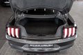 Daumennagel 36 - Ford Mustang 2.3L |KLAPPEN-AGA|B&O|NAV|1.HAND