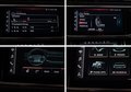 Daumennagel 34 - Audi RSQ8-R ABT quattro|CARBON|PANO|1 OF 125