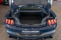 Daumennagel 44 - Ford Mustang 5.0 V8 Dark Horse|GRAIL-ABGAS|RECARO|B&O