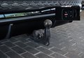 Daumennagel 10 - Audi Q7 60 TFSIe quattro|S-SITZE|AHK|PANO|MEMORY