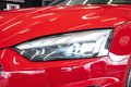 Daumennagel 4 - Audi A5 Sportback 45 TFSI quattro|COMPETITION+ S-LINE