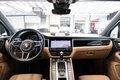 Daumennagel 16 - Porsche Macan Turbo|SPORTABGAS|BOSE|MEMORY|AHK|STDHZ