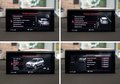 Daumennagel 23 - Audi SQ7 4.0 TDI quattro|RAUTENSTEPPUNG|PANO