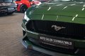 Daumennagel 11 - Ford Mustang GT 5.0 V8 Coupe|KLAPPEN-AGA|B&O|SPOILER