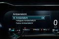 Daumennagel 22 - Ford Mustang GT 5.0 V8 Coupe|KLAPPEN-AGA|B&O|SPOILER