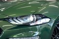 Daumennagel 4 - Ford Mustang GT 5.0 V8 Coupe|KLAPPEN-AGA|B&O|SPOILER