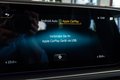 Daumennagel 28 - Mercedes-Benz GLS 580 4M|AMG LINE|7-SITZER|PANO|STDHZ|AHK