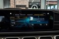 Daumennagel 29 - Mercedes-Benz GLS 580 4M|AMG LINE|7-SITZER|PANO|STDHZ|AHK