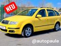 Daumennagel 1 - Skoda Fabia 1.4l Combi*TüV+Service+Zahnriemen NEU*AC*