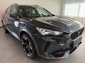 Daumennagel 3 - CUPRA Formentor 1.5 TSI DSG L NAVI 19" DCC KAMERA