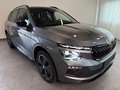 Daumennagel 3 - Skoda Kamiq Monte Carlo 1.5 TSI DSG AHK KESSY KAMERA
