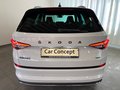 Daumennagel 6 - Skoda Kodiaq Sportline 4x4 TDI AHK StHz 7 SITZE CANTON