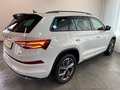 Daumennagel 5 - Skoda Kodiaq Sportline 4x4 TDI AHK StHz 7 SITZE CANTON