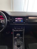 Daumennagel 12 - Skoda Kodiaq Sportline 4x4 TDI AHK StHz 7 SITZE CANTON