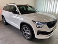 Daumennagel 3 - Skoda Kodiaq Sportline 4x4 TDI AHK StHz 7 SITZE CANTON