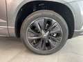 Daumennagel 6 - Skoda Karoq Sportline 1.5 TSI DSG AHK KAMERA MATRIX