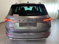 Daumennagel 7 - Skoda Karoq Sportline 1.5 TSI DSG AHK KAMERA MATRIX