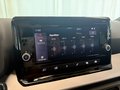 Daumennagel 21 - SEAT Ibiza Xcellence 1.0 TSI LED KAMERA 17" WINTER