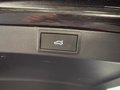 Daumennagel 25 - Skoda Octavia Combi 2.0 TDI DSG Sportline PANO AHK 18"