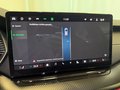 Daumennagel 23 - Skoda Octavia Combi 2.0 TDI DSG Sportline PANO AHK 18"