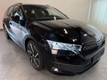 Daumennagel 3 - Skoda Octavia Combi 2.0 TDI DSG Sportline PANO AHK 18"