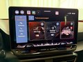 Daumennagel 20 - CUPRA Leon ST 2.0 TDI DSG EDGE SENNHEISER KAM NAVI 5J