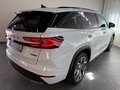 Daumennagel 5 - Skoda Kodiaq 1.5 TSI mHEV Sportline AHK PANO 7-SITZE